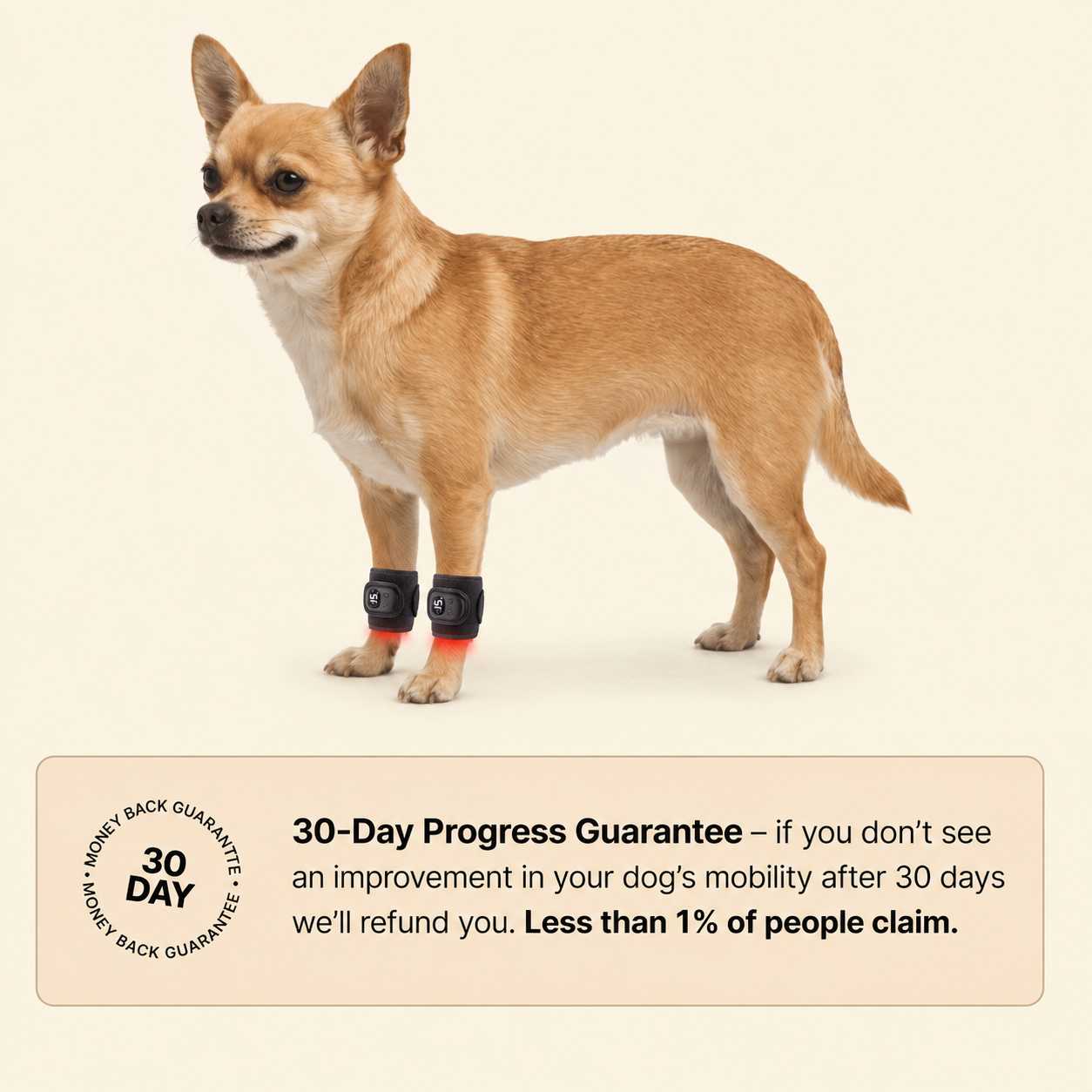 PawsHalo™ PawLegs Mini