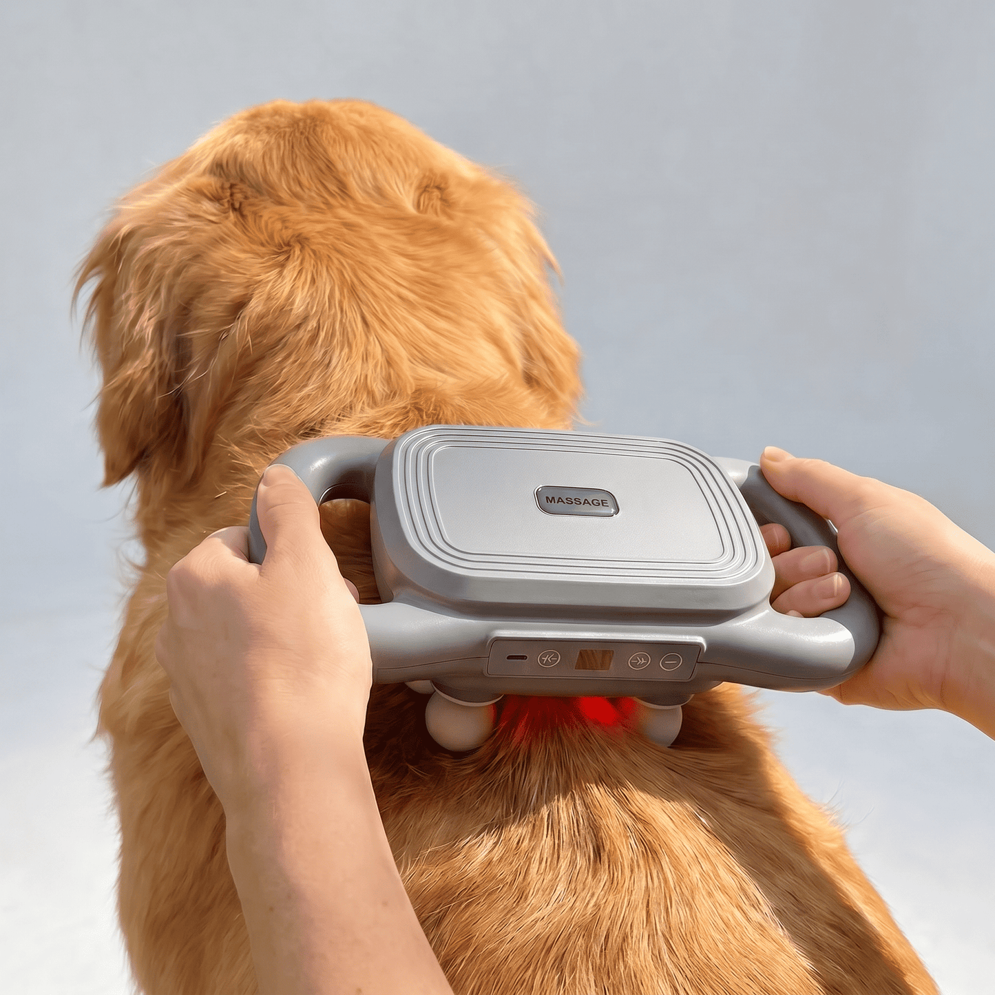 PawsHalo™ 6 Heads Massage Gun