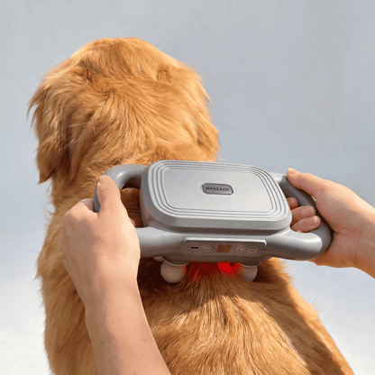PawsHalo™ 6 Heads Massage Gun