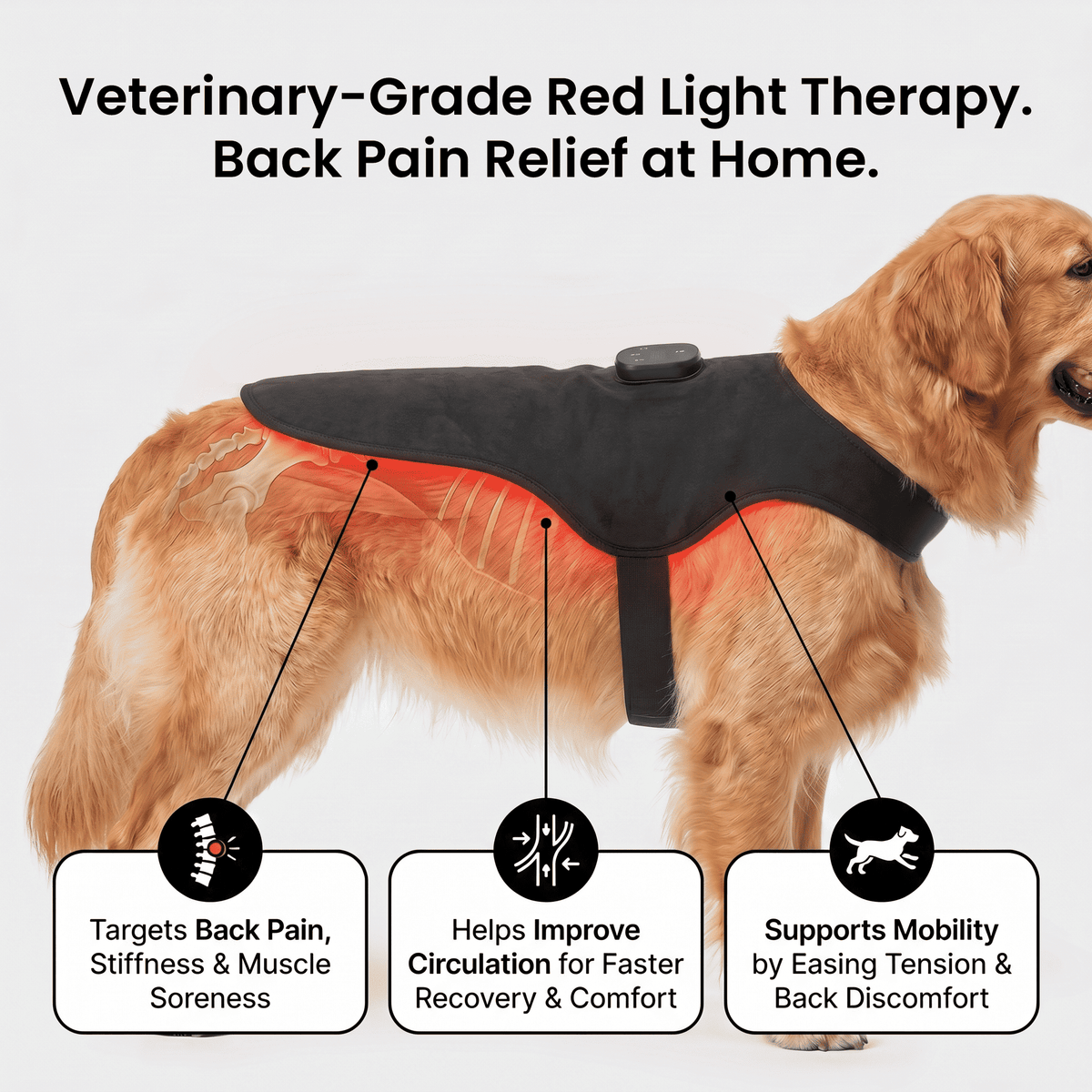 PawsHalo™ PawBack