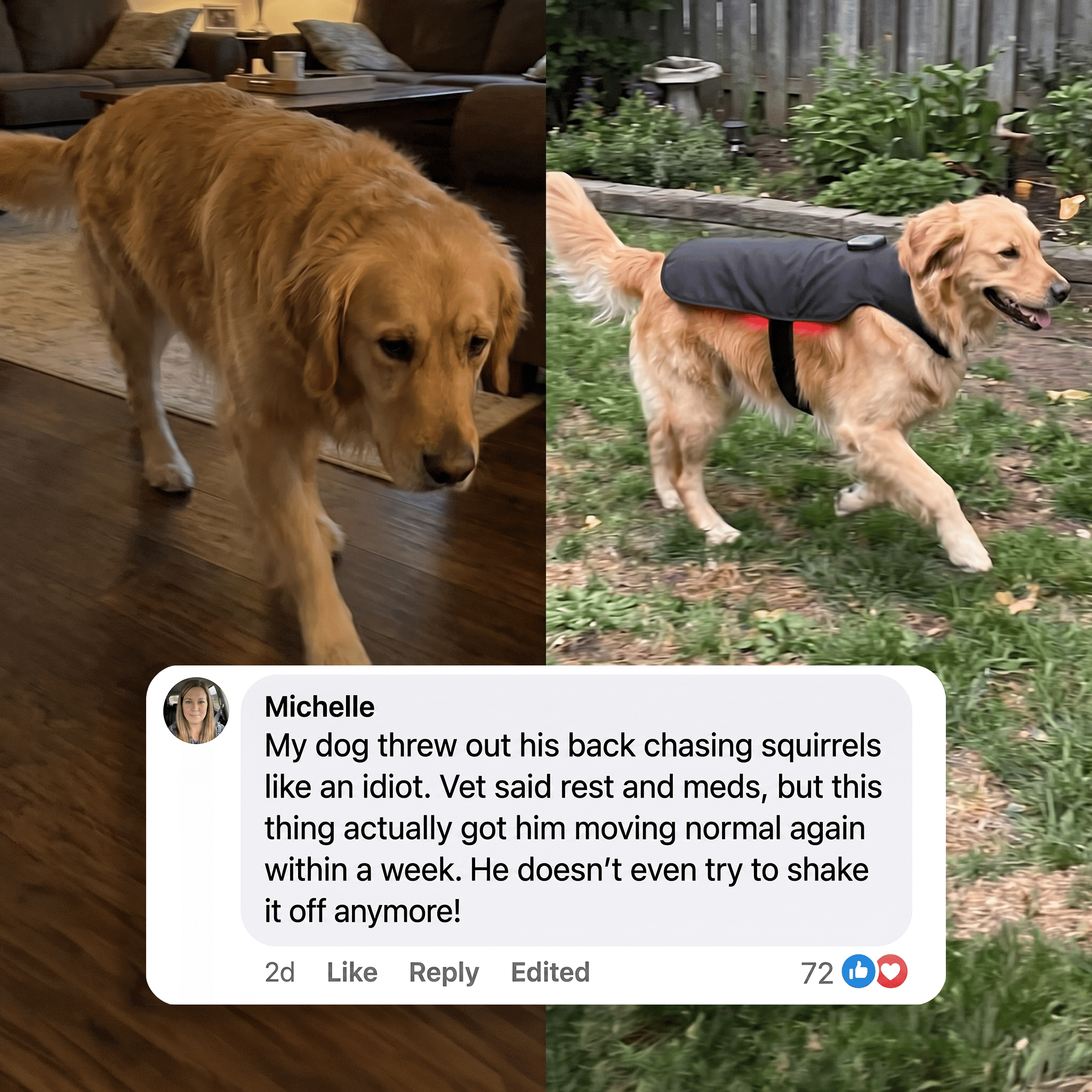 PawsHalo™ PawBack