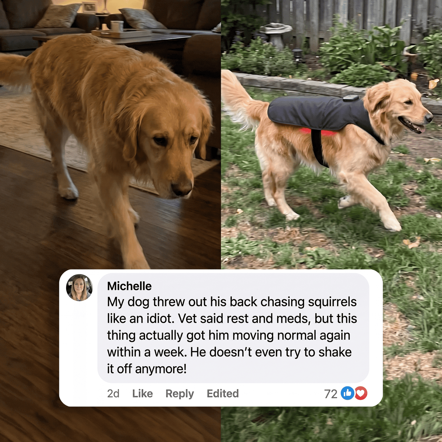 PawsHalo™ PawBack
