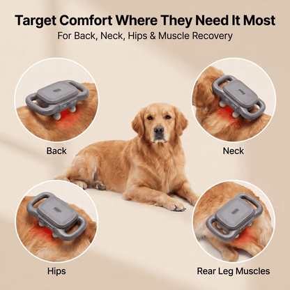 PawsHalo™ 6 Heads Massage Gun