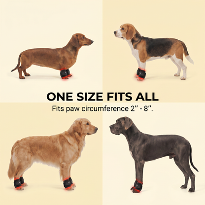 PawsHalo™  Pawlegs Mini