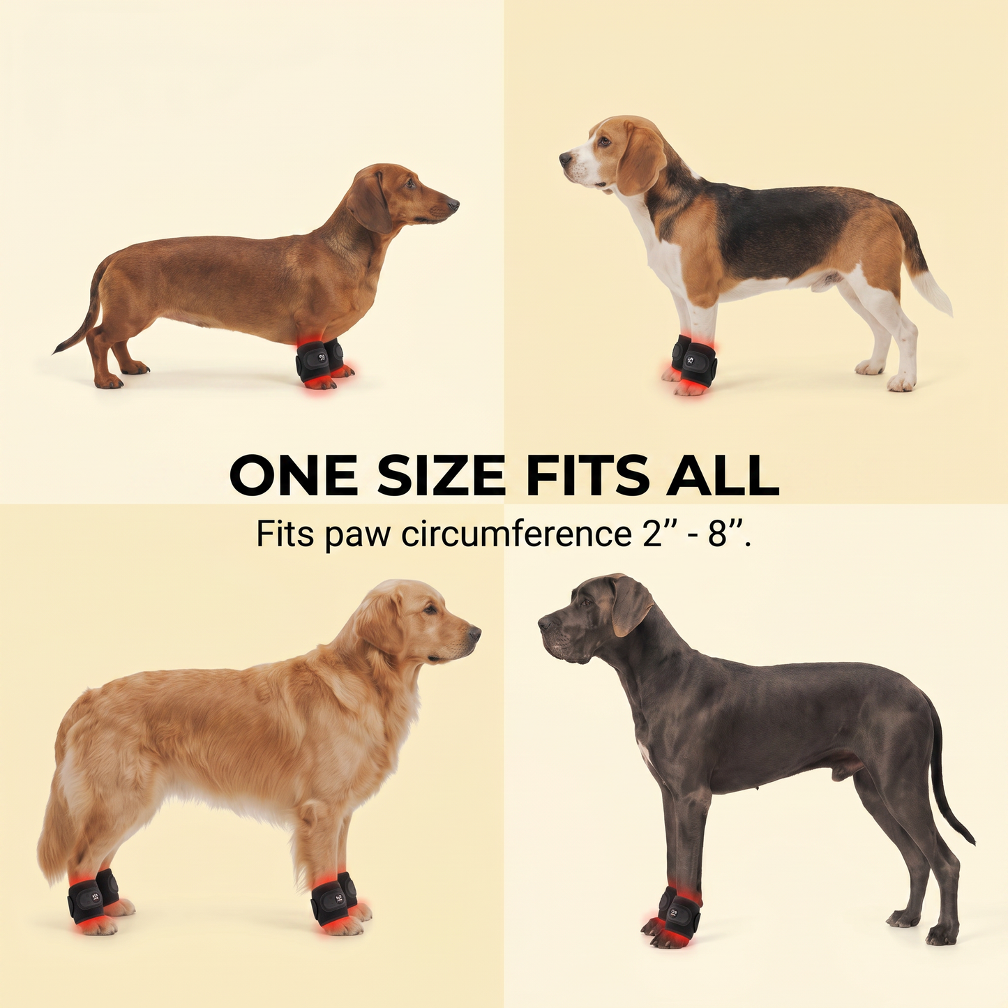 PawsHalo™ PawLegs Mini