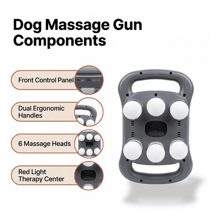 PawsHalo™ 6 Heads Massage Gun