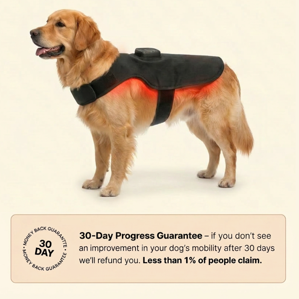 PawsHalo™ PawBack