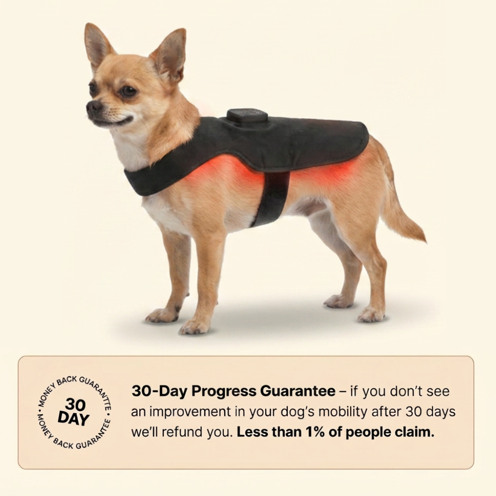 PawsHalo™ PawBack