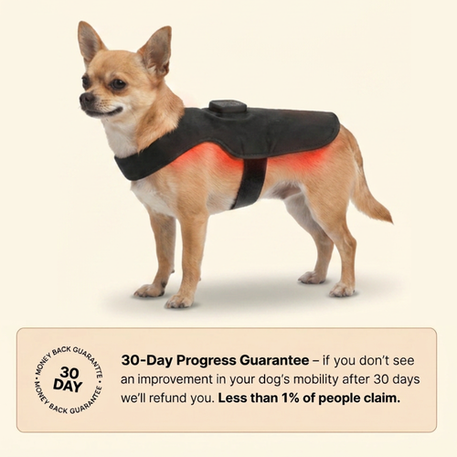 PawsHalo™ PawBack